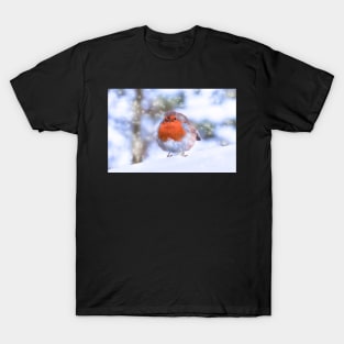 Robin in Snow T-Shirt